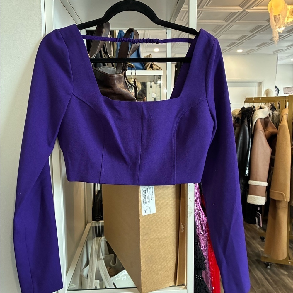Zara purple crop long sleeve top